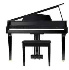 AG-30 ARTESIA Pro Micro Digital Piano Keys