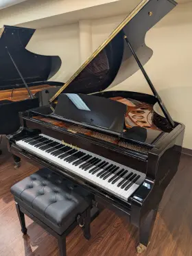 15708 B-SENDORFER Bosendorfer Piano Completely