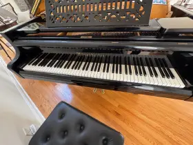 19342 B-SENDORFER Bosendorfer Piano Vienna