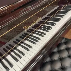 25765 B-SENDORFER Bosendorfer Concert Piano Pyramid Mahogany #2
