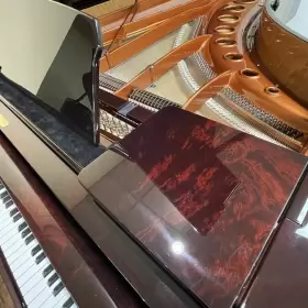 25765 B-SENDORFER Bosendorfer Concert Piano Pyramid Mahogany #3