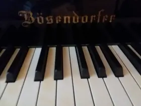 39434 B-SENDORFER Bosendorfer Piano