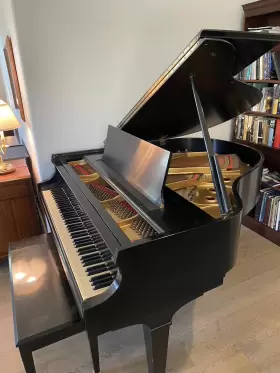 248426 BALDWIN Baby Piano