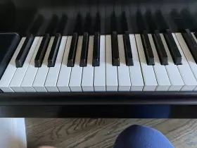 270416 BALDWIN Piano Removal Sound #2