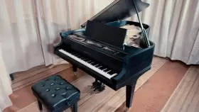 SF-10 BALDWIN Piano