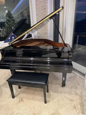 TG0014141 BERGMANN Piano Ebony #2
