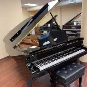199847 BL THNER Haessler Bluthner Piano #3