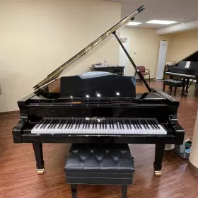 199847 BL THNER Haessler Bluthner Piano