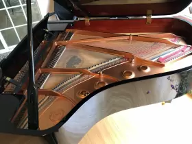 PE-187 BRODMANN Piano #2