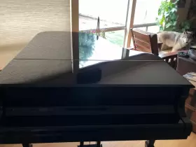 PE-187 BRODMANN Piano #3