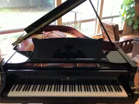 PE-187 BRODMANN Piano