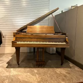 274916 CABLE Baby Piano