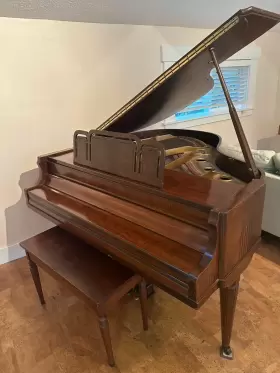 301909 CABLE Baby Piano