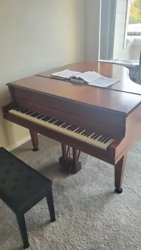 262294 CONOVER Baby Piano Keys Tuned San Jose