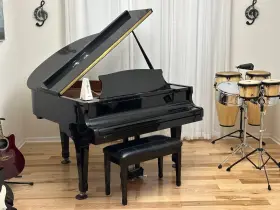 031564 DAEWOO PIANO Sojin Baby