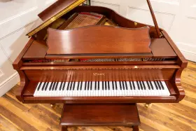 EGP155 ESSEX Baby Piano Qrs Wifi Player Pro