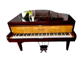 Gaveau Paris 96358 1941 Baby Grand Piano - Rare Makore Ash Finish