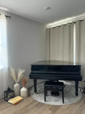 WSG165 GROTRIAN Piano