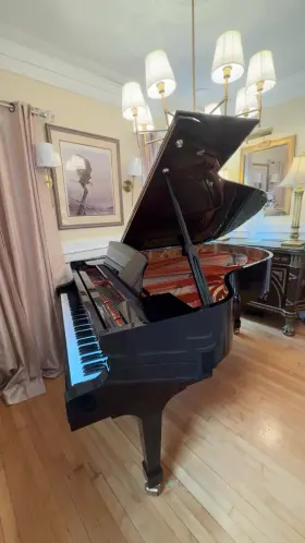 Hailun Hg198 6 5 Inch Grand Piano Player System Prorecord Immaculate