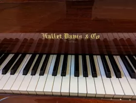 DG12498 HALLET Davis Baby Piano Tiger Maple Rich Tone #3