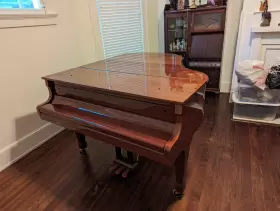 DG12498 HALLET Davis Baby Piano Tiger Maple Rich Tone