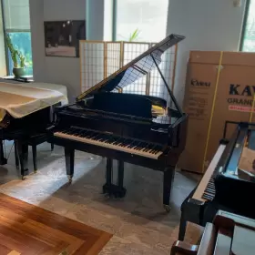 43572 HOWARD Samick Ebony Piano #3