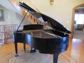 41523 HOWARD C171 Autographed Liberace Piano Ebony Boat #2