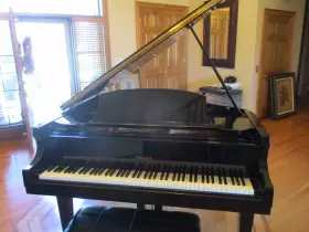 41523 HOWARD C171 Autographed Liberace Piano Ebony Boat