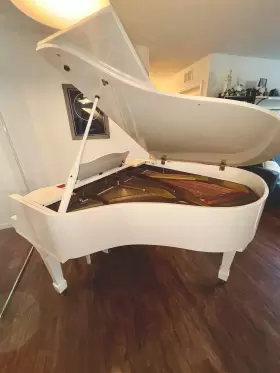 Hyundai Hhhg0499 Grand Piano