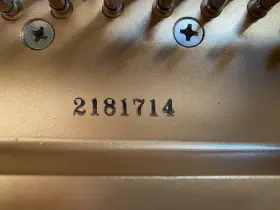 2181714 KAWAI Kawaii Baby Piano #3