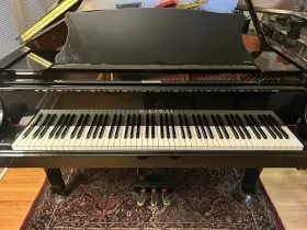 RX-5 KAWAI Baby #2