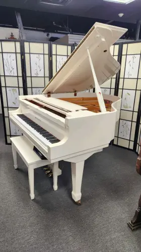 KN520 KNABE High Pianodisc Floppy Player