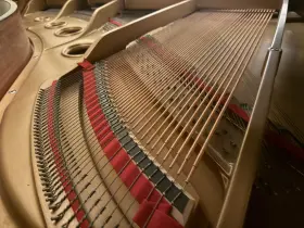 Kohler & Campbell 650s And Skg Concert Grand Satin Piano Buyer Pays Shipping