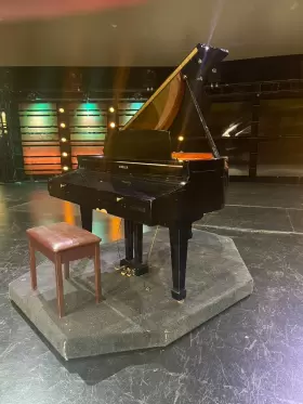 KD160 KOHLER CAMPBELL Digital Baby Piano #2