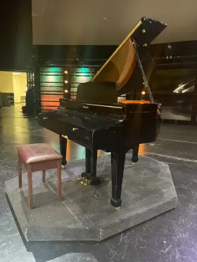 KD160 KOHLER CAMPBELL Digital Baby Piano #3