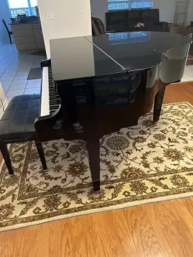 C141 KRANICH BACH Baby Piano #2