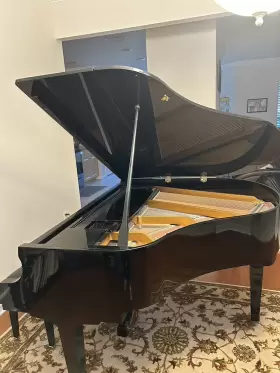 C141 KRANICH BACH Baby Piano #3