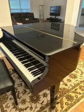 C141 KRANICH BACH Baby Piano