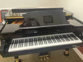 C170 MASON HAMLIN Baby Piano