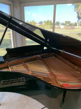 May-berlin M162t Baby Grande Piano With Qrs Player System