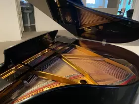SG47EBHP964391 MAYS Baby Piano Schoenbach House Brooks Music #2