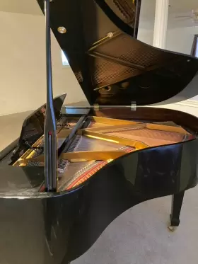 SG47EBHP964391 MAYS Baby Piano Schoenbach House Brooks Music #3