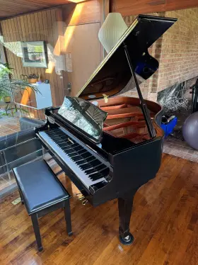 25841 NORDISKA Baby Ebony Piano