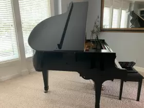 DG-01630 NORDISKA Baby Piano Playing Disks