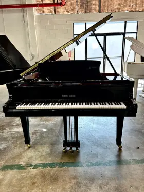 1699235 PEARL RIVER Baby Piano Pianodisc Iq Player