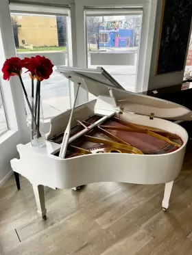 942636 PEARL RIVER Baby Piano #2