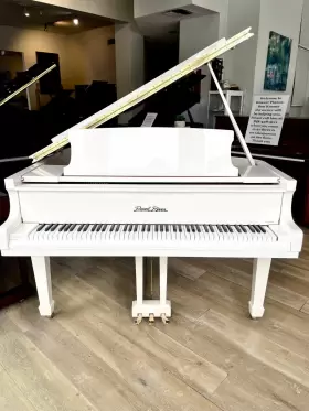 942636 PEARL RIVER Baby Piano