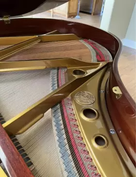 GP-142 PEARL RIVER Baby Pear Piano #3