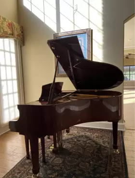 GP-142 PEARL RIVER Baby Pear Piano