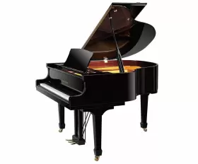 GP150 PEARL RIVER Ebony Baby Piano Bench Assembled